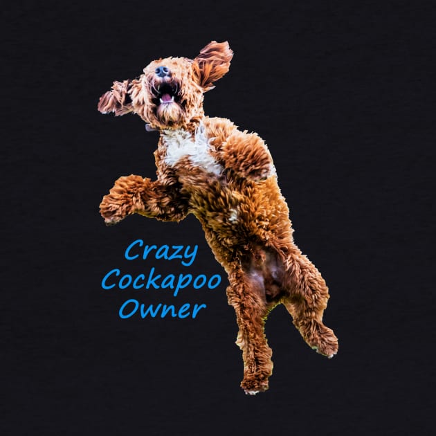 Crazy Cockapoo Owner by tommysphotos